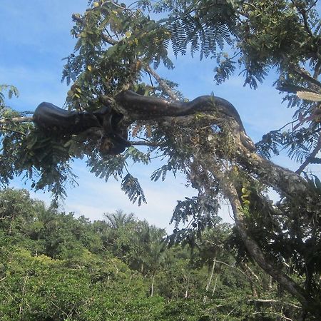 Jamu Lodge Puerto Montufar Eksteriør bilde